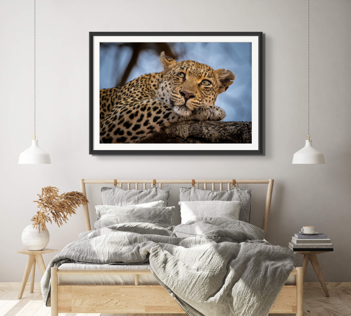 Daydreaming Leopard