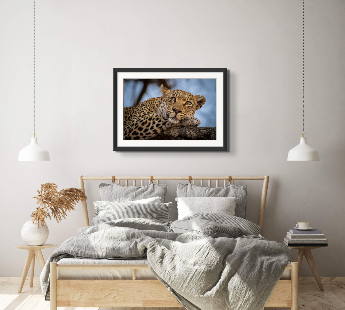 Daydreaming Leopard